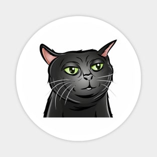 Tiktok Black Cat | Viral Cat | Black Cat Zoning Out | Cat Meme Magnet